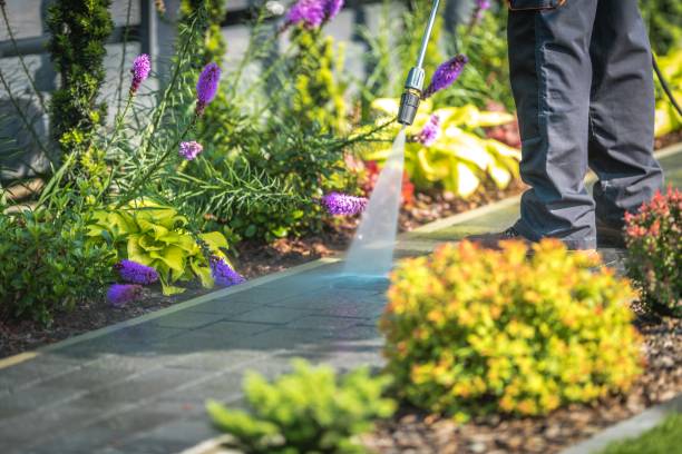 Best Fence Cleaning  in Danbury, TX